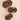Brown Crocodile | Small | Flat Round Hair Clip