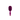 Boar | Mulberry | Mini